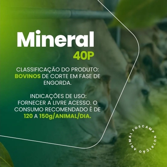 foscamp produtos(1920 x 1080 px) (2)