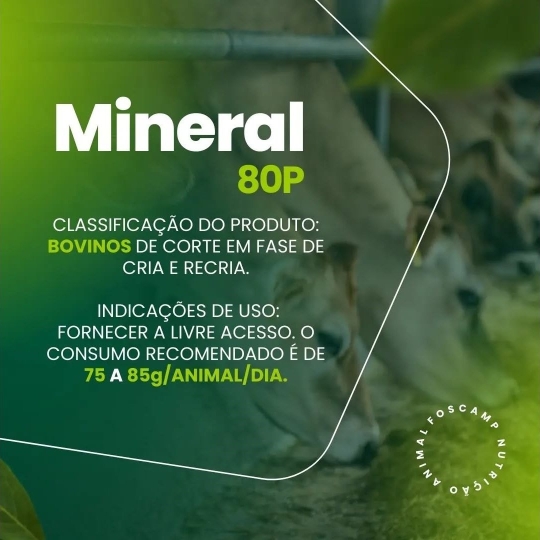 foscamp produtos(1920 x 1080 px) (3)