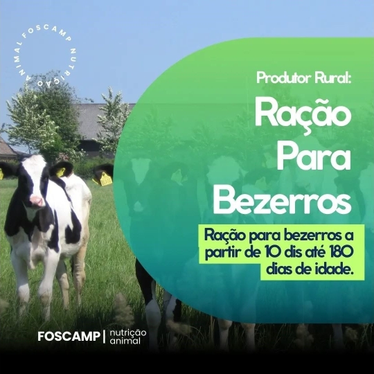 foscamp RAÇÃO PARA BEZERROS  (1920 x 1080 px)