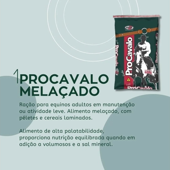 foscamp RAÇÃO PARA EQUINOS  (1920 x 1080 px)