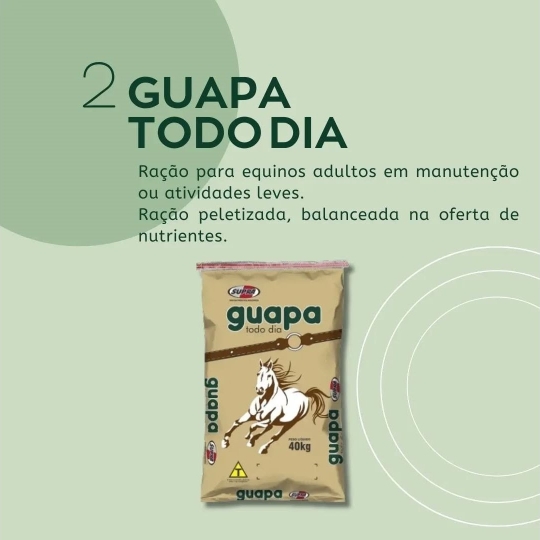 foscamp RAÇÃO PARA CAVALOS ADULTOS (1920 x 1080 px)