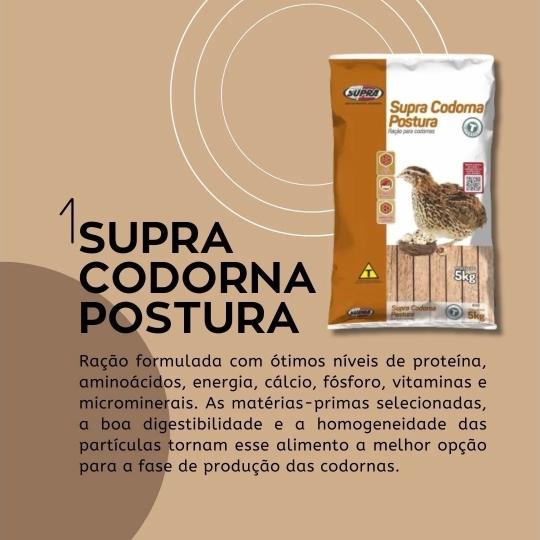 foscamp RAÇÃO PARA CODORNA  (1920 x 1080 px)