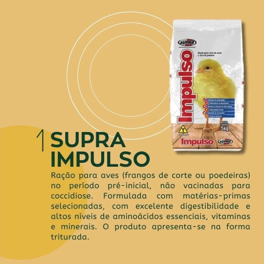 foscamp RAÇÃO PARA PINTINHOS (1920 x 1080 px)