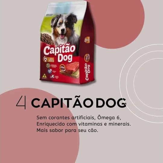 foscamp RAÇÃO PARACACHO CAPITÃO DOG (1920 x 1080 px)