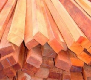 madeireira sao josé  (3)